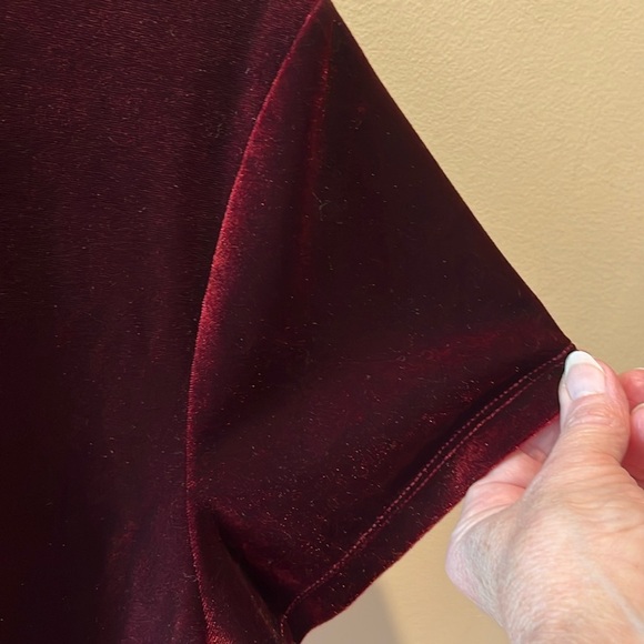 Abercrombie & Fitch   Velvet scoopneck Top short sleeves  deep maroon  Size S-M - Picture 11 of 12